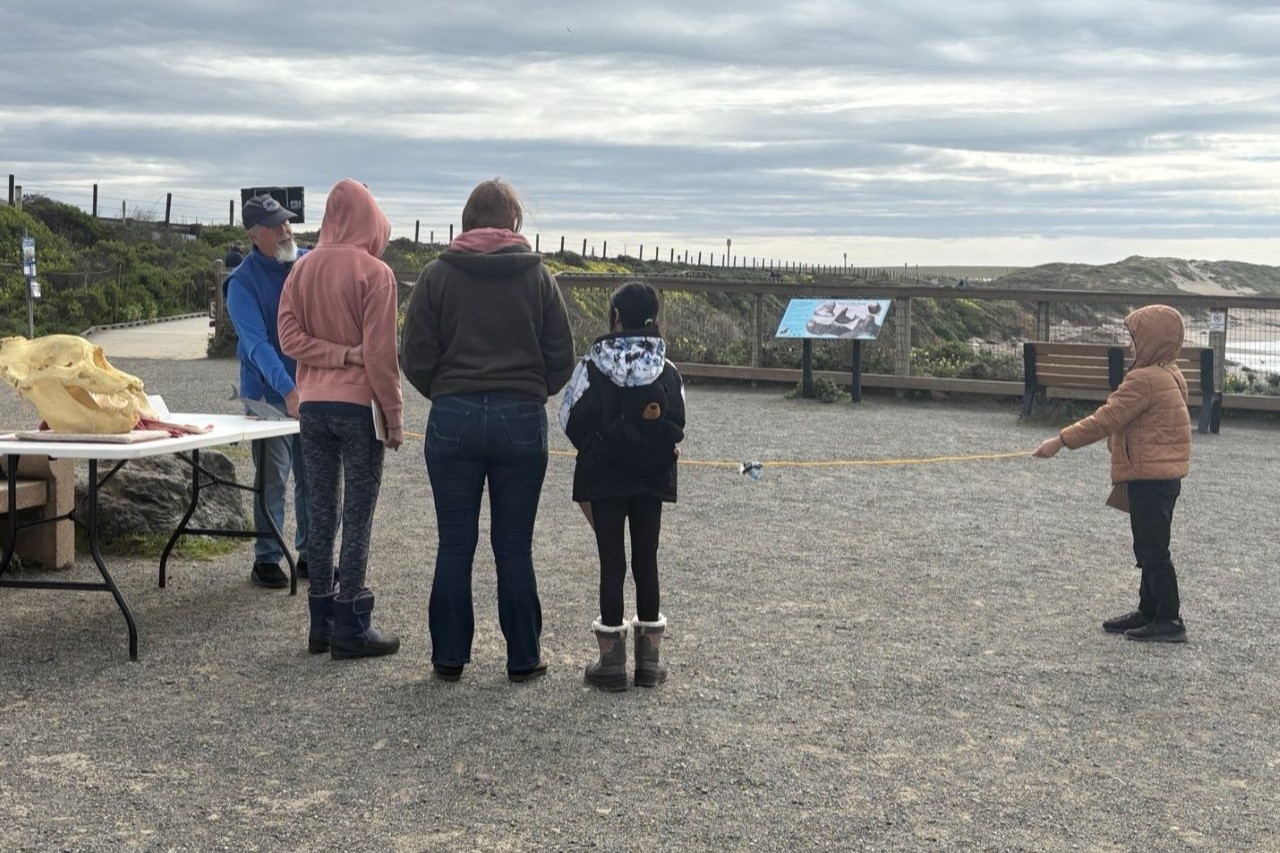 Elephant Seal School Group Program images